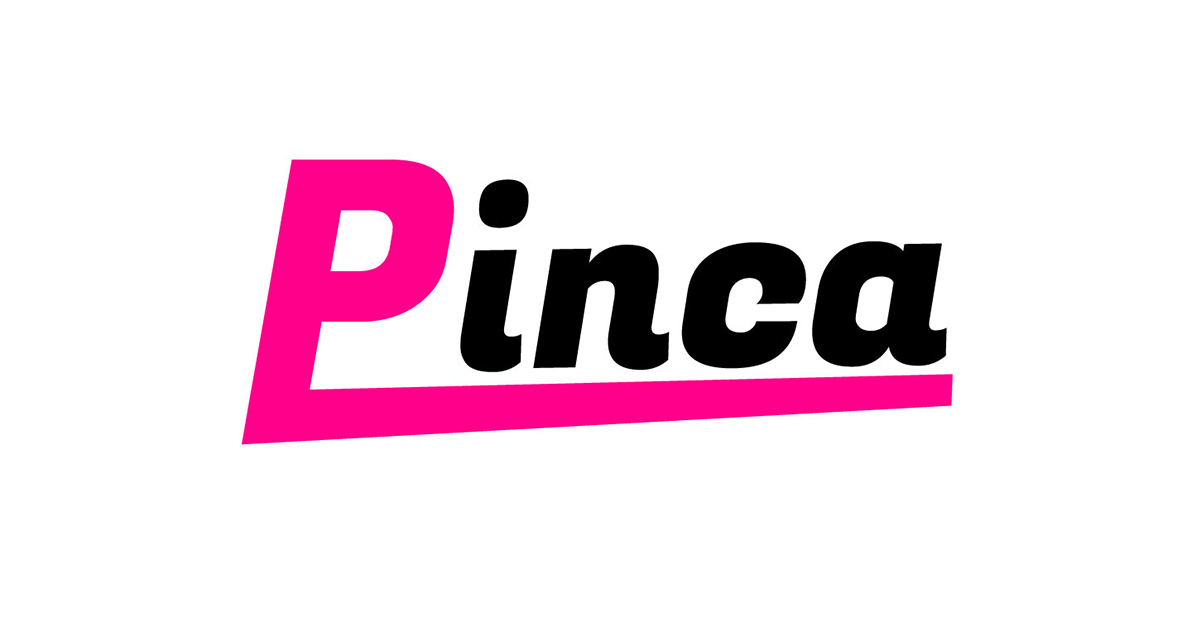 AI関連事業 Pinca